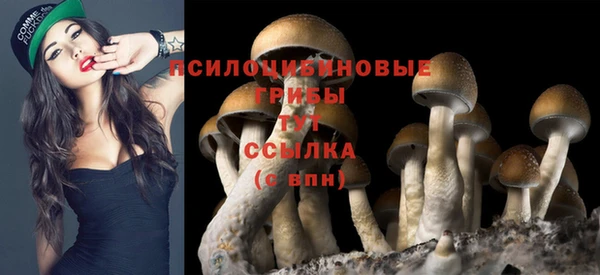 mdpv Верея