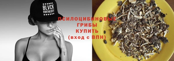 твердый Верхний Тагил