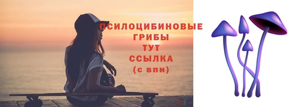 твердый Верхний Тагил