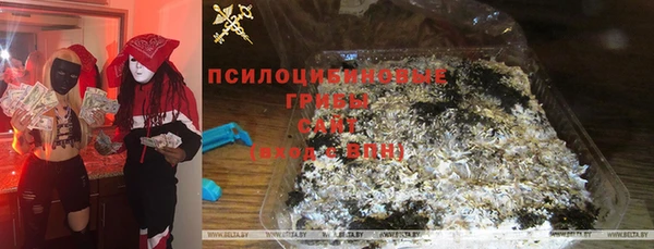 твердый Верхний Тагил