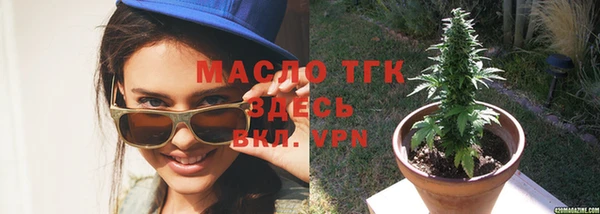 индика Бугульма
