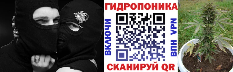 Купить закладки  Мариинск  Марихуана индика 